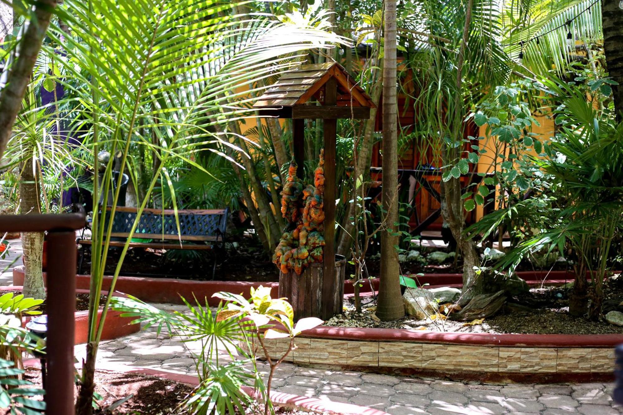 Cocos Cabanas Playa Del Carmen Adults Only מראה חיצוני תמונה