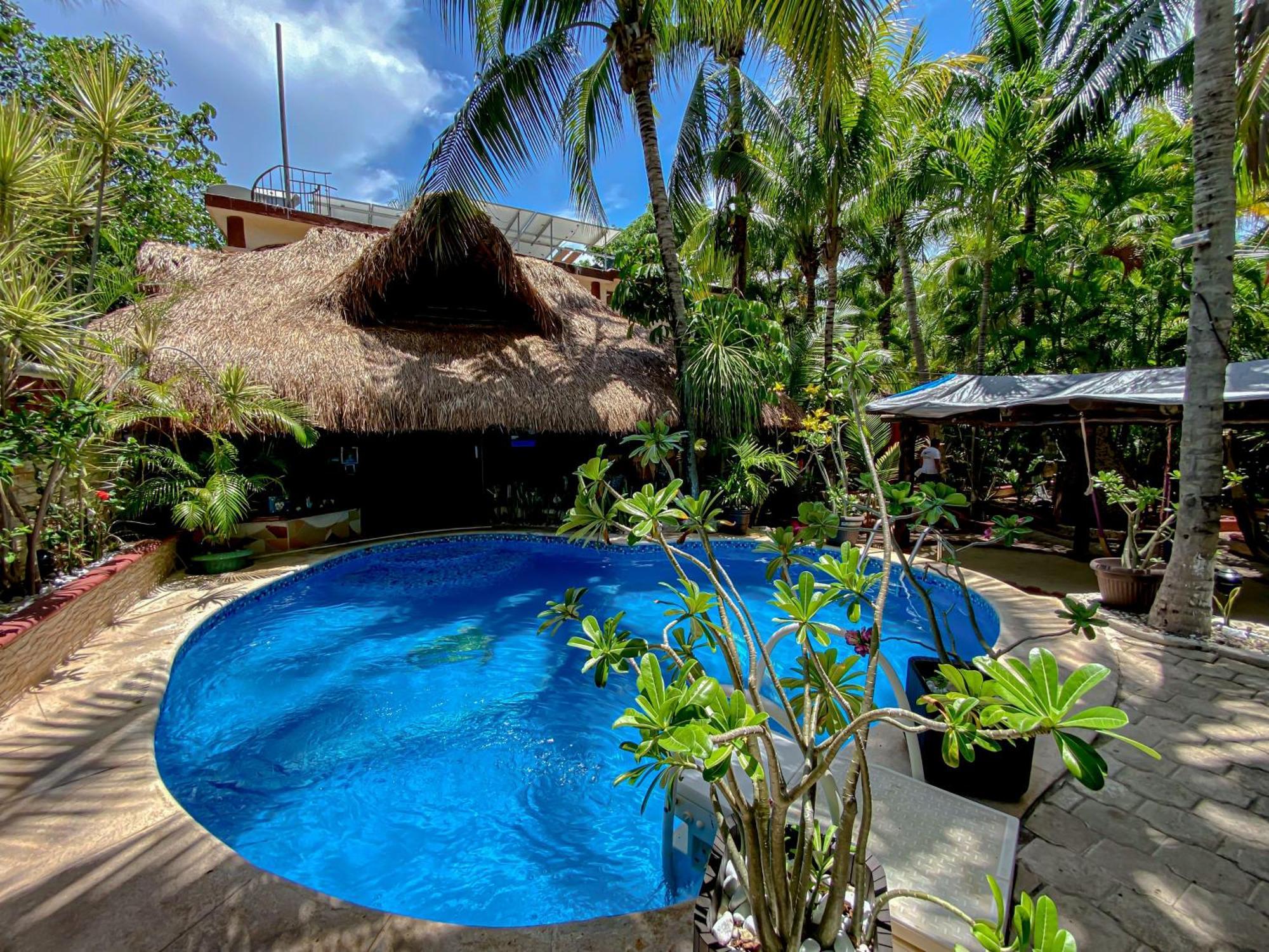 Cocos Cabanas Playa Del Carmen Adults Only מראה חיצוני תמונה