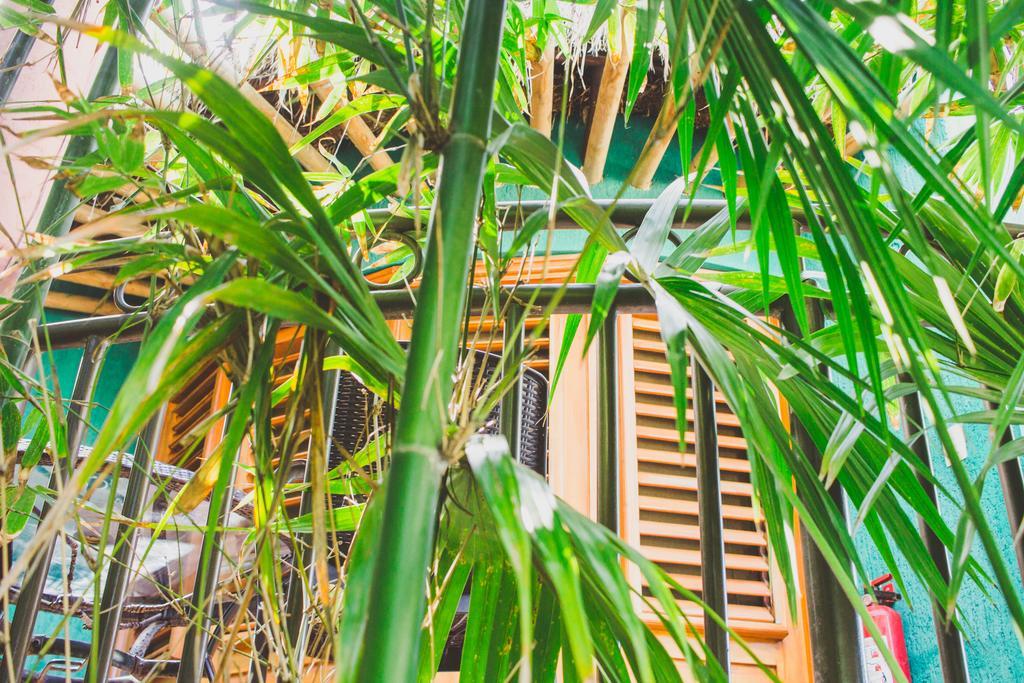 Cocos Cabanas Playa Del Carmen Adults Only מראה חיצוני תמונה